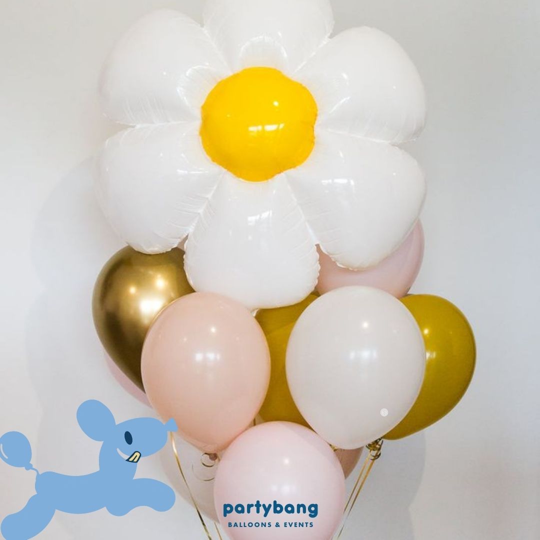 [Helium Inflated] Birthday Balloons Daisy Smiley Kids Party _Shop By Picture (11pcs)