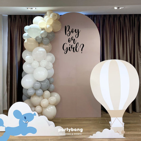 Hot Air Balloon Gender Reveal Foamboard Backdrop Setup with Balloon Garland