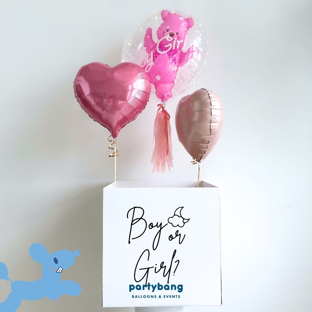 [Helium Inflated] Gender Reveal Surprise Box Bear Boy/ Girl