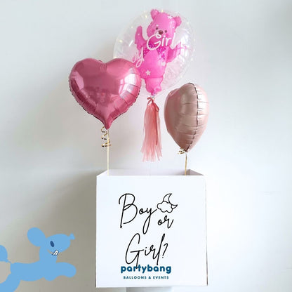 [Helium Inflated] Gender Reveal Surprise Box Bear Boy/ Girl